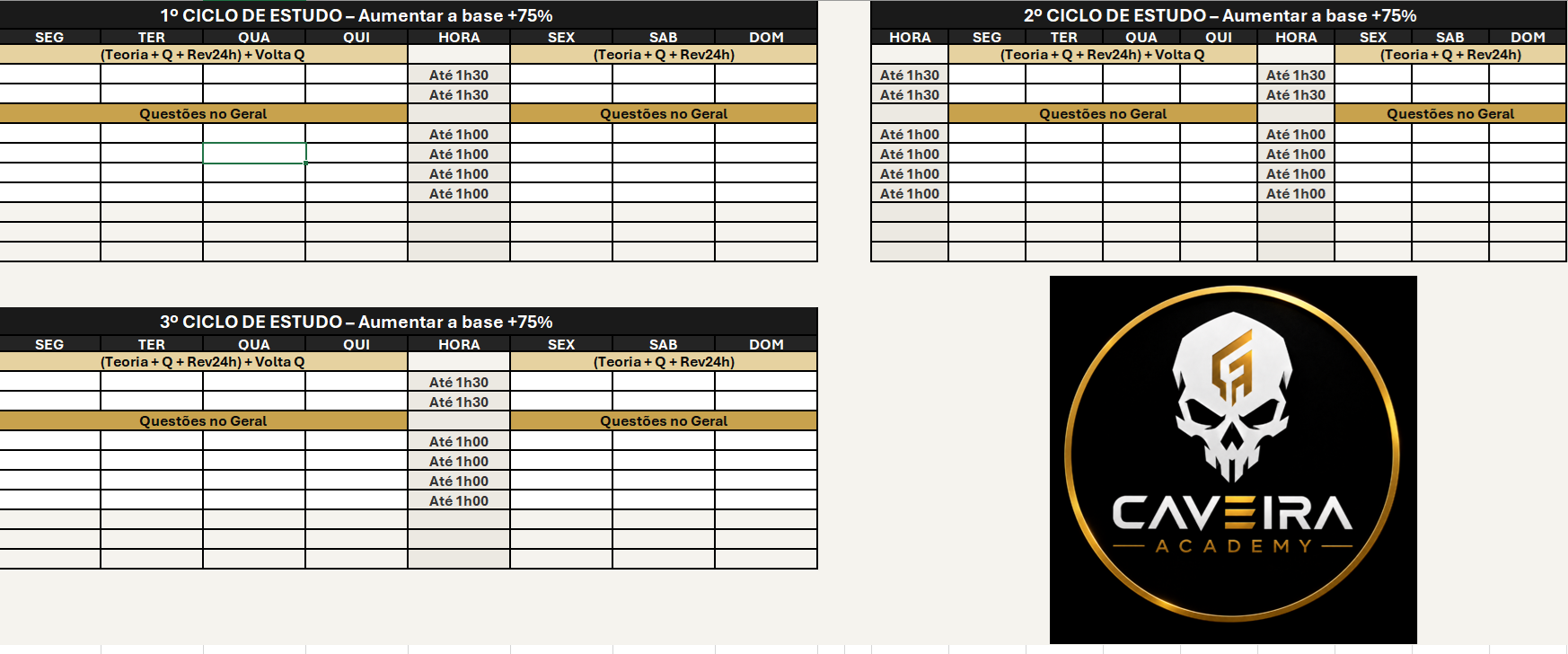 Planilha com três ciclos de estudo montados, distribuindo teoria, questões e revisão de 24 horas pelos dias da semana com a carga horária de cada bloco.